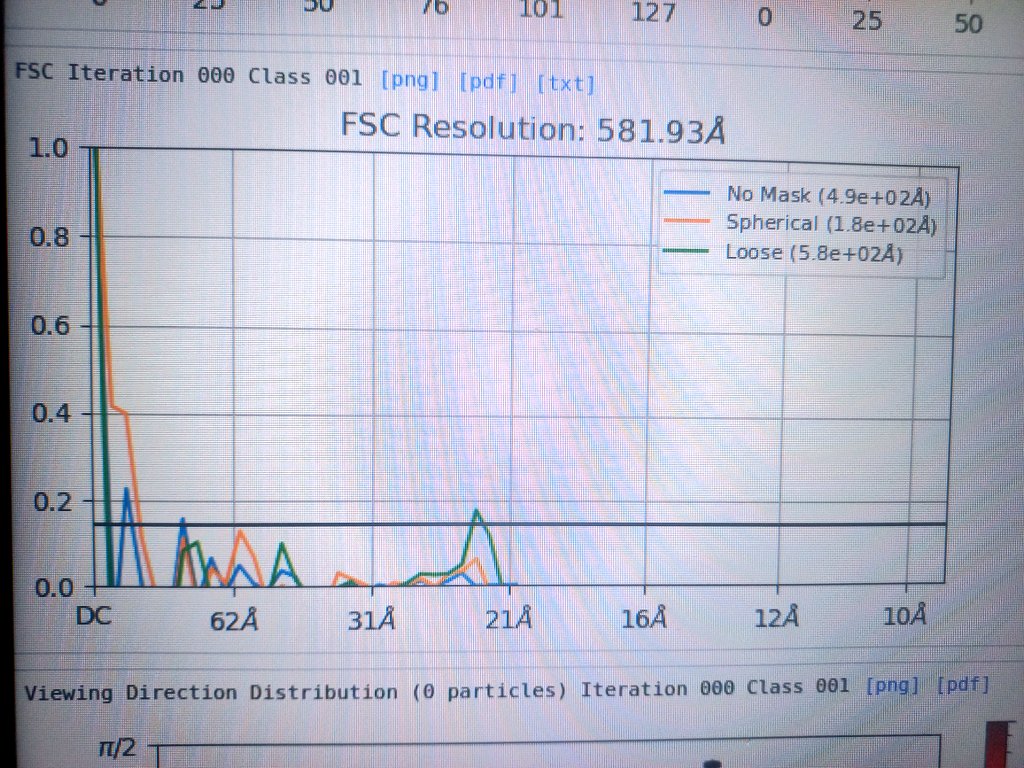 Liya Mukhamedova tweet media