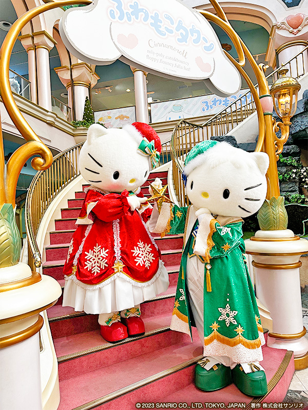 キティとダニエルは 星を飾るところを探していたのかな？🌟 🎄本日より