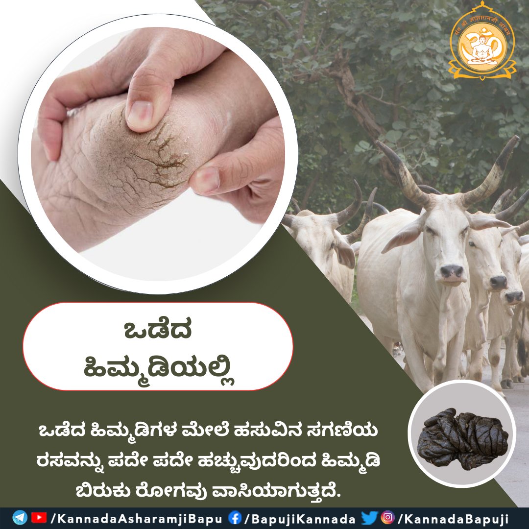 KannadaBapuji's tweet photo. ಒಡೆದ ಹಿಮ್ಮಡಿಯಲ್ಲಿ
ಒಡೆದ ಹಿಮ್ಮಡಿಗಳ ಮೇಲೆ ಹಸುವಿನ ಸಗಣಿಯ ರಸವನ್ನು ಪದೇ ಪದೇ ಹಚ್ಚುವುದರಿಂದ ಹಿಮ್ಮಡಿ ಬಿರುಕು ರೋಗವು ವಾಸಿಯಾಗುತ್ತದೆ.
#SantShriAsharamjiBapu
#AsharamjiBapuQuotes
#KannadaTips https://t.co/hVaeuRU0p0