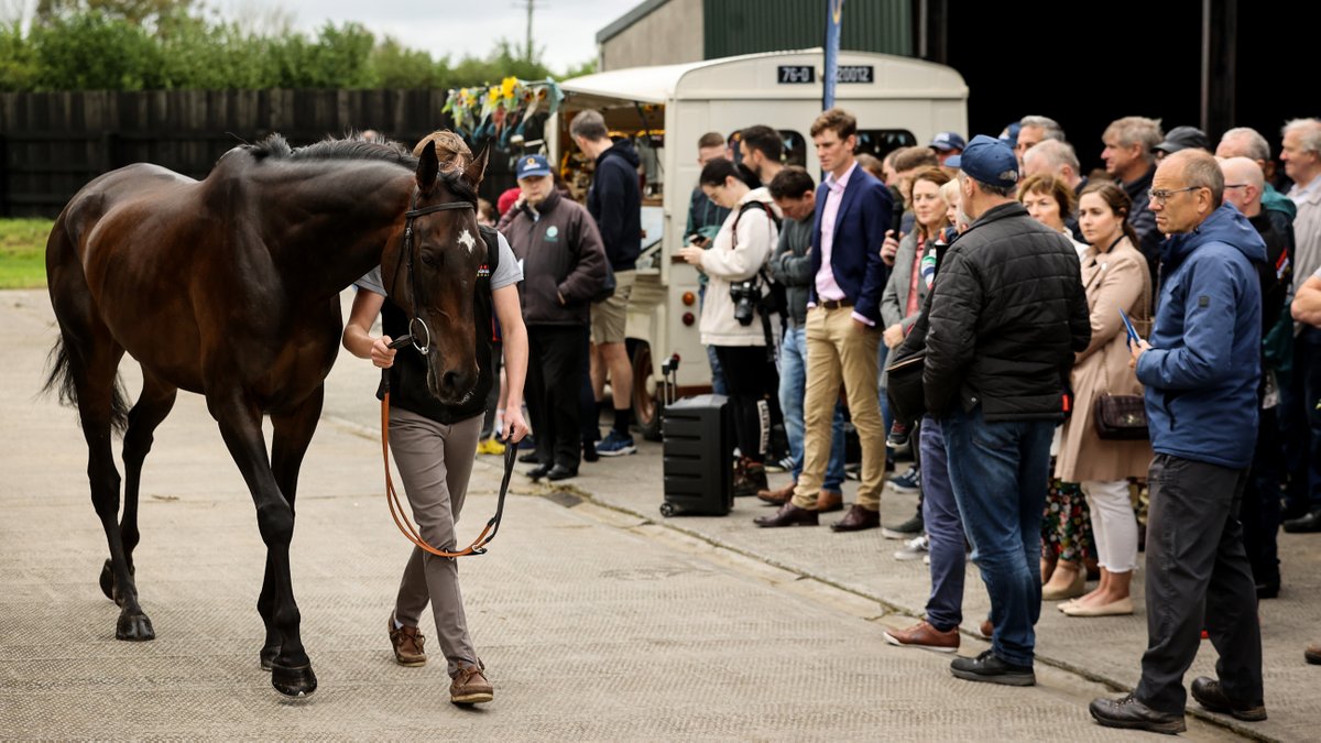HRIOwners's tweet photo. ⏪ Trainer Open Morning Lookback

In August @HartyRacing welcomed us to their yard in Co.Kildare 👏

Sign up now for 2024➡️ https://t.co/421BQYf2bq

#TrainerOpenMorning https://t.co/NORr88q2xY