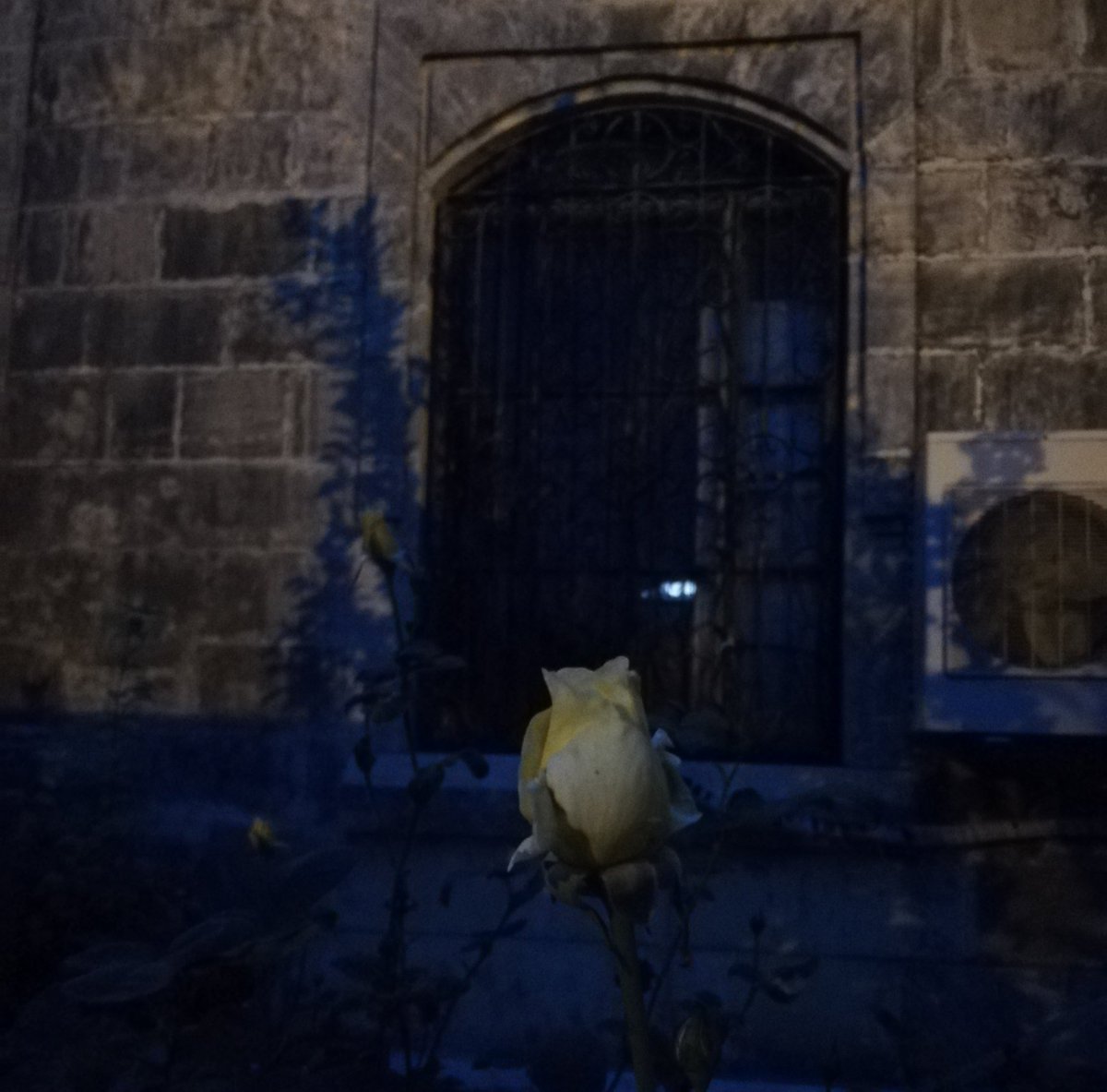 Gecikmenin hikmetini anlamasak da, Allah'ın zamanlaması her şeyde mükemmeldir..