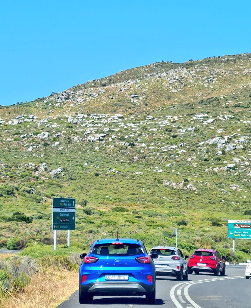 SpiceGoddess143's tweet photo. Exploring Cape Town in these beauties turning heads ! #GetCurious #PumaTitanium #PumaSTLineVignale #FordPuma @FordSouthAfrica https://t.co/rYWSMdsqJT