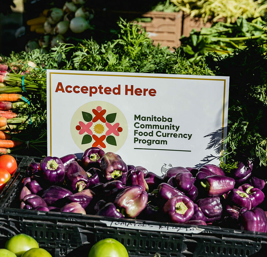 louis_riel_sd's tweet photo. This summer, the René Deleurme Centre (RDC) partnered with Direct Farm Manitoba to help break down the barriers families face when accessing healthy, whole food.

Read more about what they accomplished in our story at https://t.co/P5LmaIz7t8.

📸 St. Norbert Farmer's Market https://t.co/CufO60rPeP