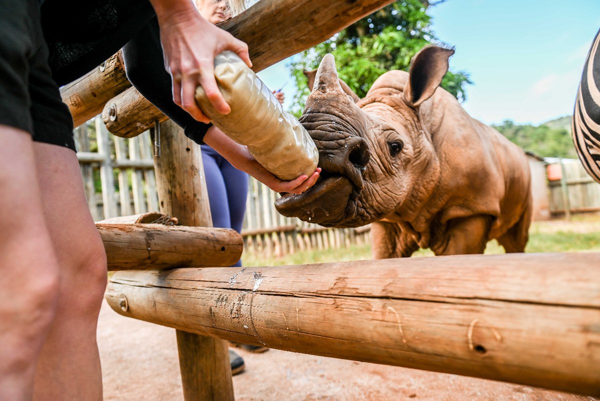 ConservationACE tweet picture