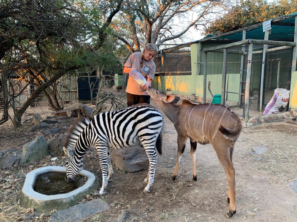 ConservationACE tweet picture