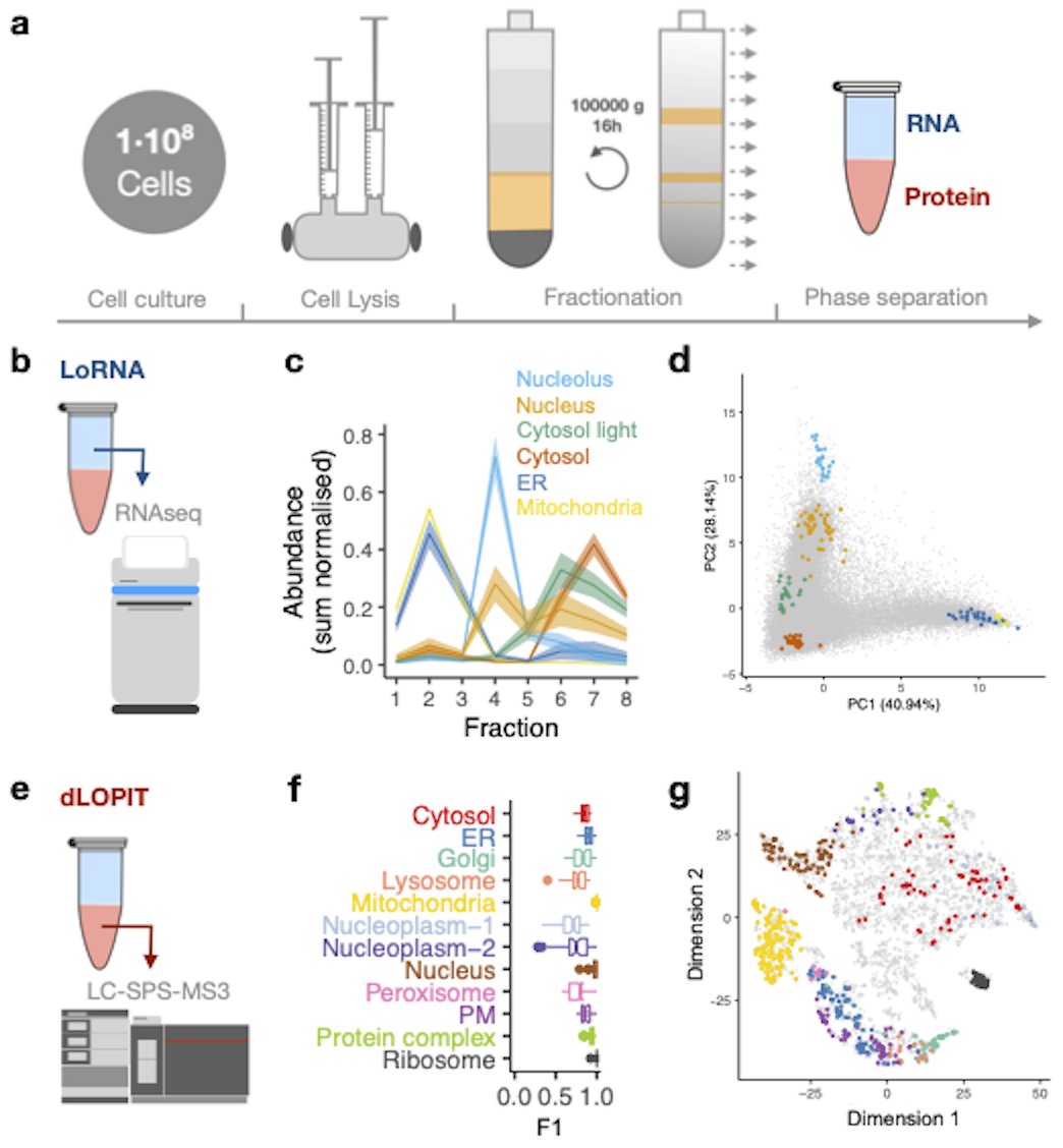 Oxford Protein Informatics Group (OPIG) (@OPIGlets)  X