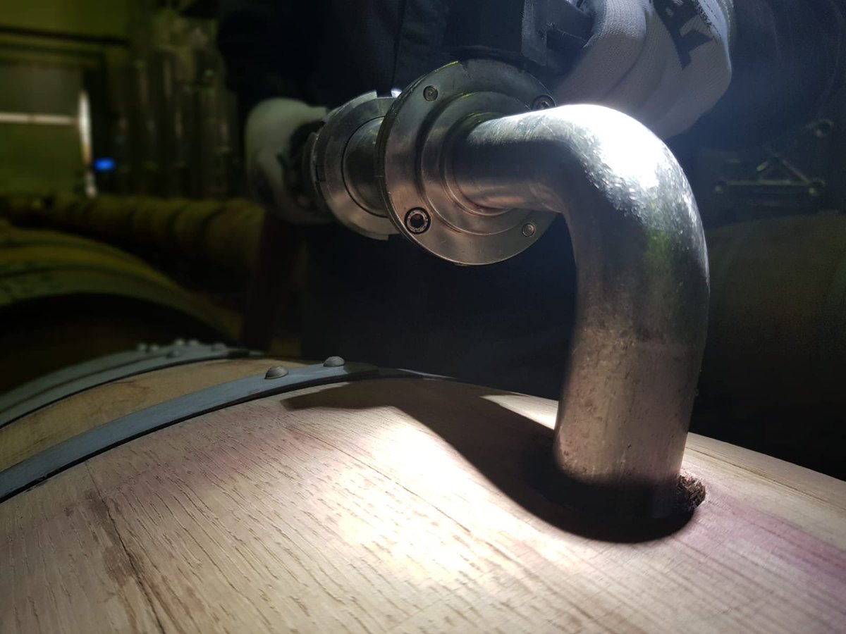 PalacioQuemado's tweet image. 🗣️Our wines undergo barrel aging, a crucial step where we refine structure, body, and smoothness while enhancing the aromatic intensity of our red wines. The time spent in barrels varies based on grape variety and the intended type of wine. 🍇🍷 #WineCrafting #BarrelAging