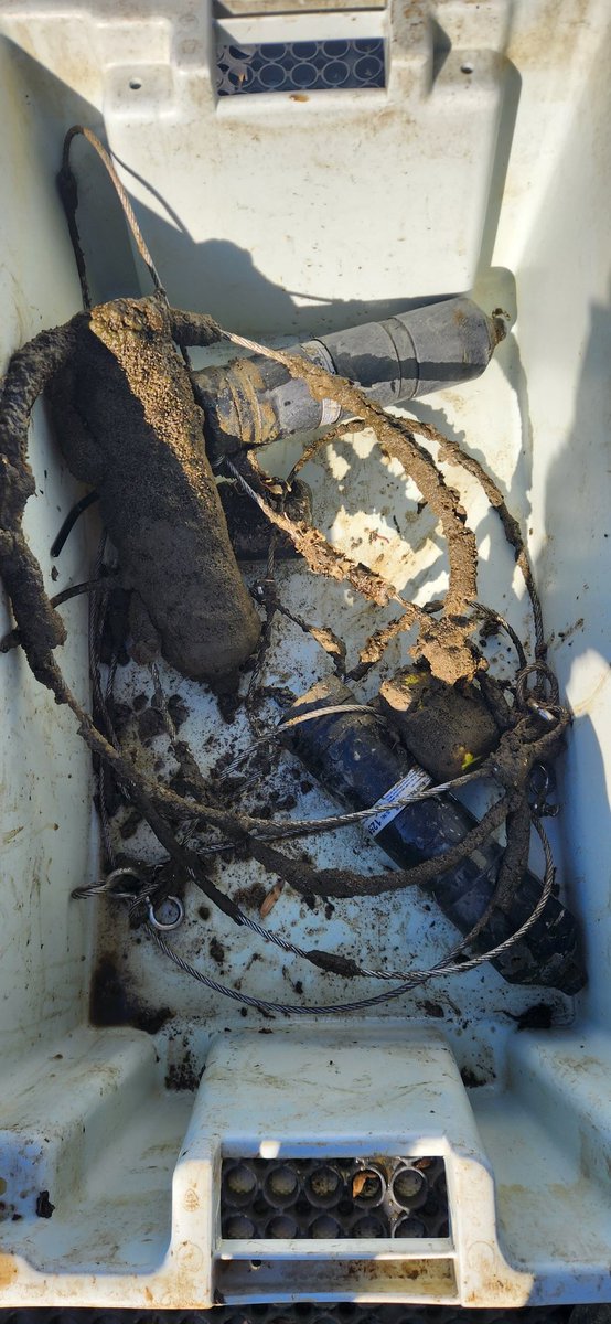 Downloading and pulling receivers for the winter! Our blue crabs all left the river as of late October. #acoustictelemetry #chesbay <a href="/ACTtelemetry/">ACT Network</a>