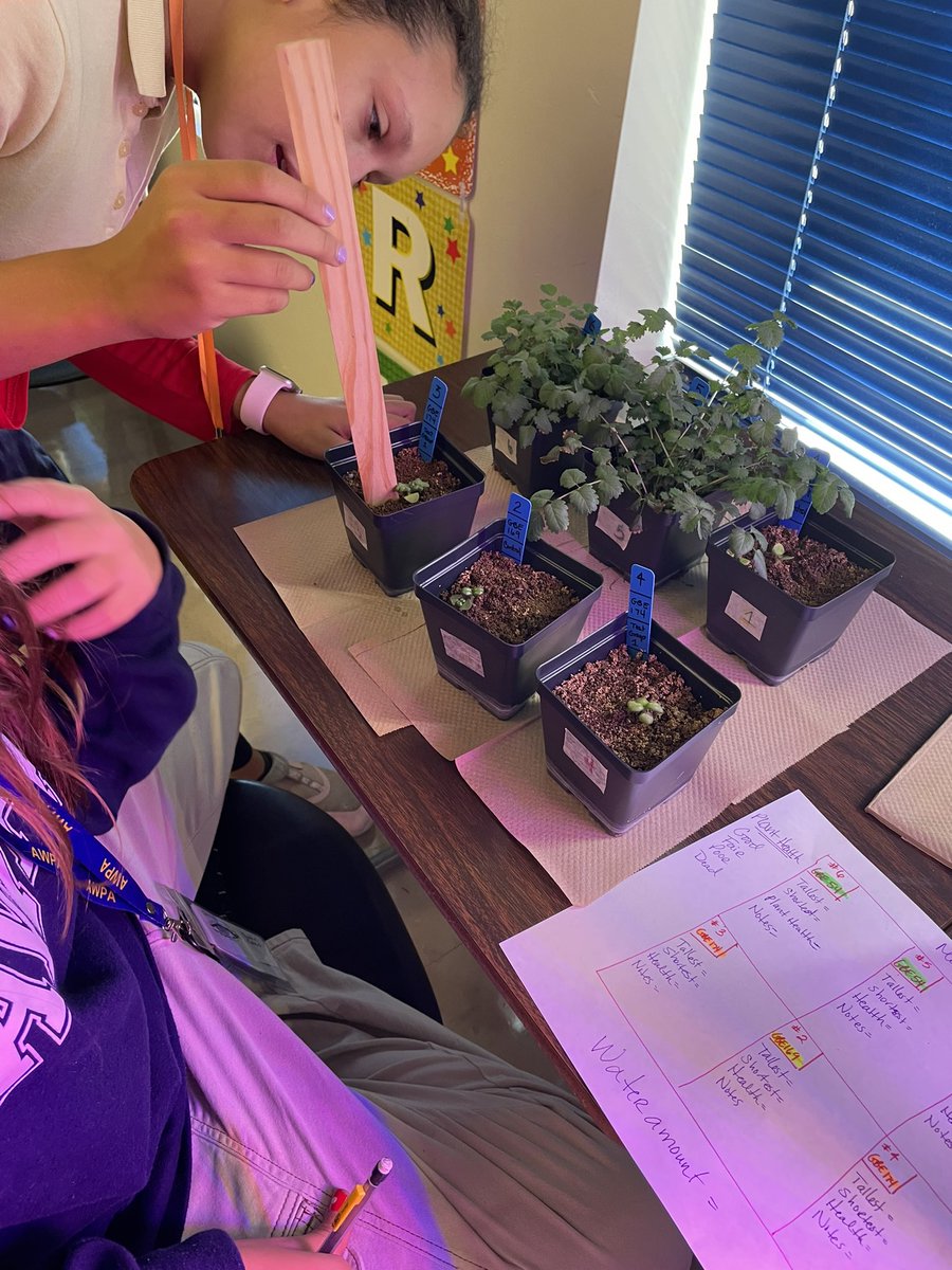 Ms Ro-Do tweet media