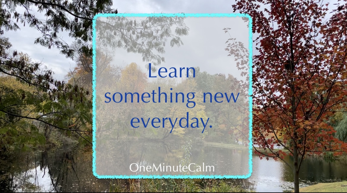 OneMinuteCalm's tweet image. podcasters.spotify.com/pod/show/onemi…

#learning #educate #learneveryday #bepartofthegame #sharpenyourmind #catoctin