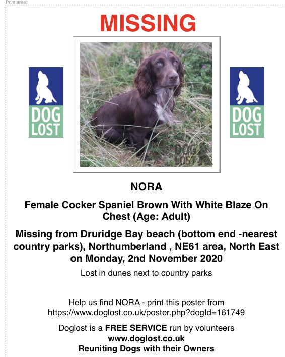 RachaelB100's tweet photo. #SpanielHour
NORA 🙏
Sadly still #Missing Since 2/11/2020
#DruridgeBay Beach (bottom end nearest Country Parks) #Northumberland #NE61
Female #CockerSpaniel
#Chipped #ScanThatChip
https://t.co/64Av6rcwSb
https://t.co/cmgMOeijvI
Found & Kept? Missed & loved 🥲
#TheftByFinding https://t.co/TiZFpur1nM
