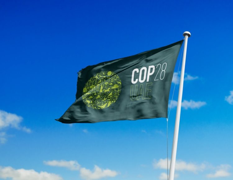 vegsoc's tweet photo. COP28: will genuine progress be made?
Our Chief Executive Richard McIlwain previews #COP28 which started today in the United Arab Emirates.

https://t.co/EKpuqAarCs https://t.co/1gxhgxMr82