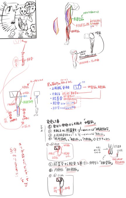 足のラインがなんの筋肉かやっと理解できたの満足感高い^ ^ 