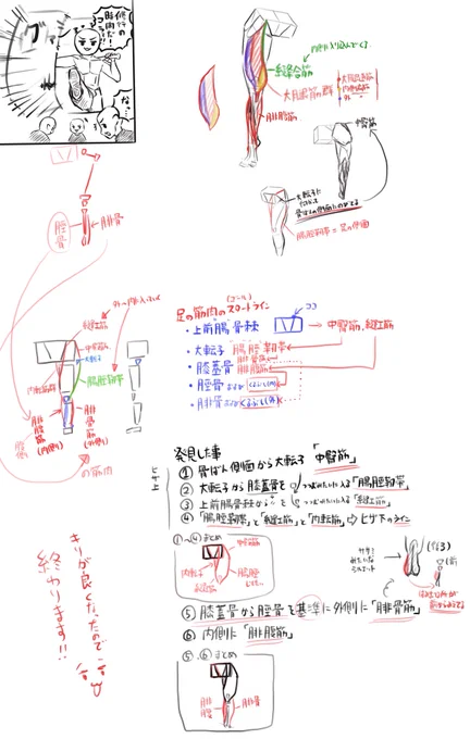 足のラインがなんの筋肉かやっと理解できたの満足感高い^ ^ 