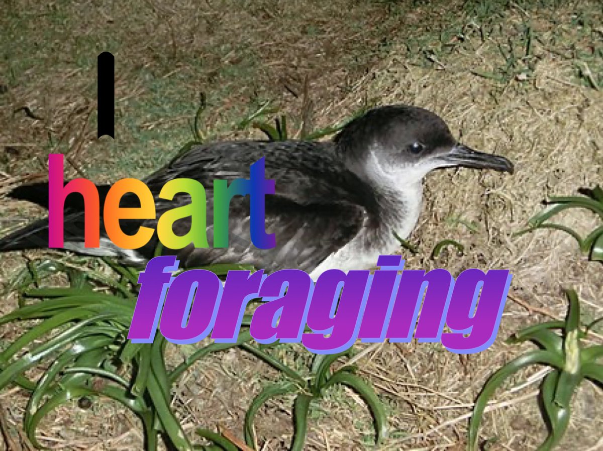 Katrina Siddiqi-Davies tweet media