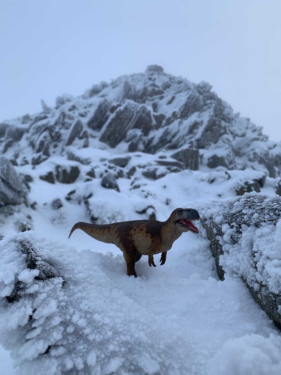 Dino_Dobrowski's tweet photo. A very successful hike up Mount Snowdon this morning โ๏ธ๐๏ธ
The gusts up the summit today was well over 30 miles per hour!
#Snowdonia #Wales #MountSnowden https://t.co/WvD2yoQ3yP