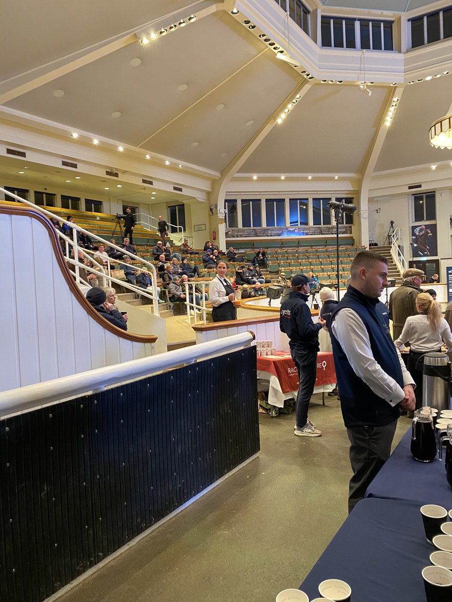 TheTBA_GB's tweet image. Attendees arriving for the TBA ACCESS Foal Forum @Tattersalls1766 to a welcome reception of mulled wine and minced pieces. 

#FoalForum #Pinhooking #TBAACCESS