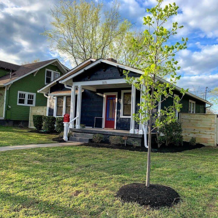 Nashville Tree Conservation Corps tweet media