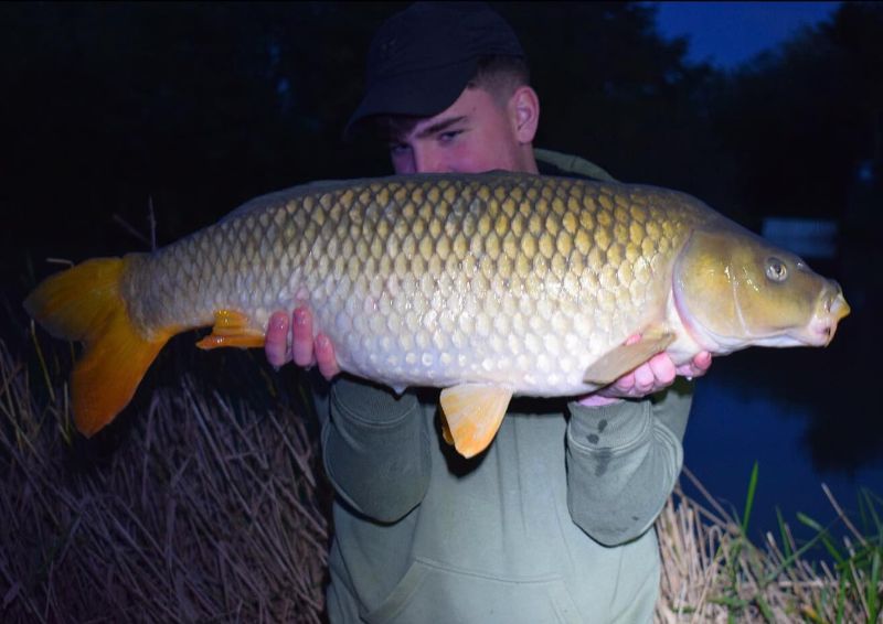 stephen77100930's tweet photo. Join us in celebrating the successes of RC Team member Preston, @PBCARPING, from Bristol! 🎣

One of Preston's latest sessions yielded some impressive catches, with the biggest weighing in at 19lb5 🙌🏼

#RCCarpTackle #RCTeam #CarpFishing #Carp #CarpAngler #CarpAngling #FishingRod https://t.co/QR1lX5LNUU