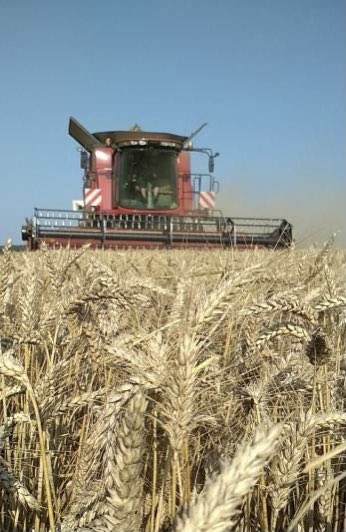 OlivierCOSTE2's tweet photo. @Soufflet_Agri @MDLZ @BONNIN1402 @InVivoGroup Dans l’#Yonne aussi et je connais des #Agricultures qui sont engagés depuis le début,dans #SemonsDuSens 🌱.
Rendez-vous 📆 dans quelques mois et pendant la #Moisson2024🌾nous serons entrain de moissonner le #blé #MMS2024,pour #LuHarmony. https://t.co/zFLSAMFDcs