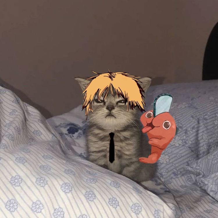 Denji (@chainsaw_devil_) on Twitter photo 