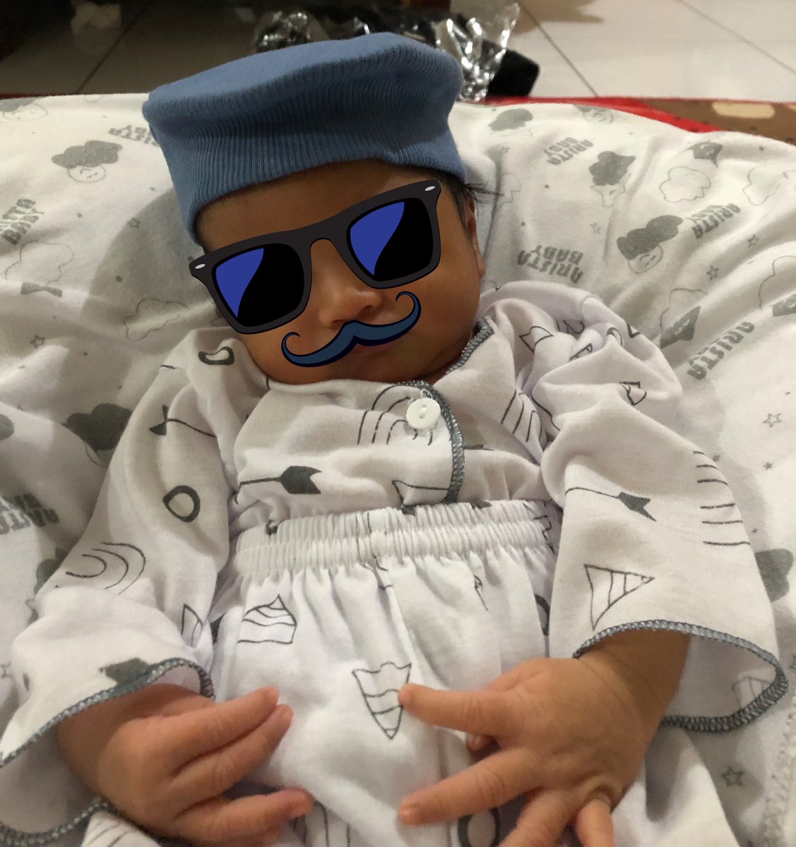 a living wallrus tweet media