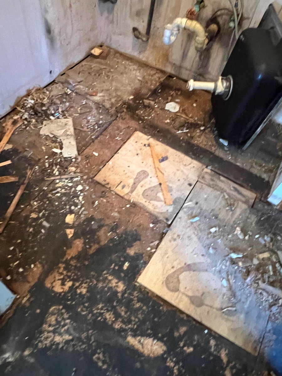 "Your subfloor is toast" - GC
Under a sink in Homewood, IL