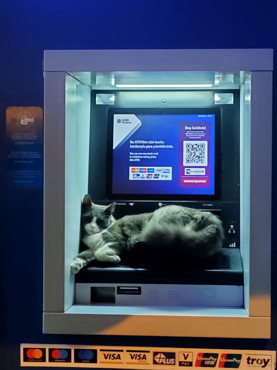 Sudes (@sudesilakrs) on Twitter photo 