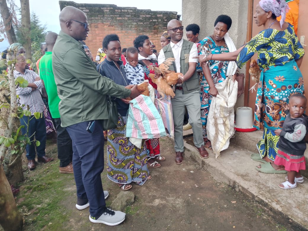 Sacolakinigi's tweet photo. Kuri uyu munsi, mu rwego rwo kurwanya imirire mibi mu bana b'u Rwanda, ubuyobozi bw'Akarere ka #Musanze bifatanyije n'umuryango #SACOLA mu igikorwa cyo gutanga inkoko ku miryango 240 ituye mu mirenge ya #Kinigi na #Nyange. Iki gikorwa cyateguwe na @Sacolakinigi . @MusanzeDistrict https://t.co/fti5mzYc6F