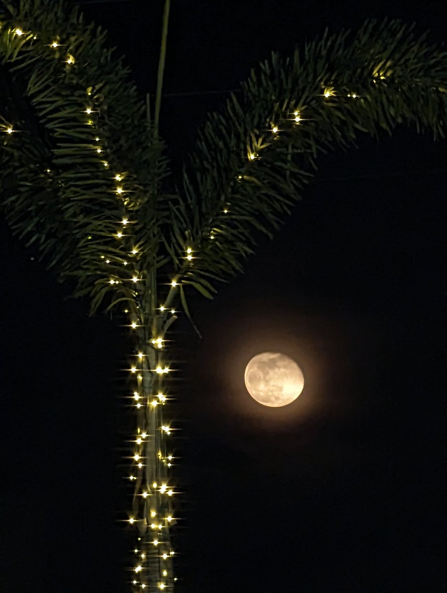 This is what "winter" in Miami looks like.