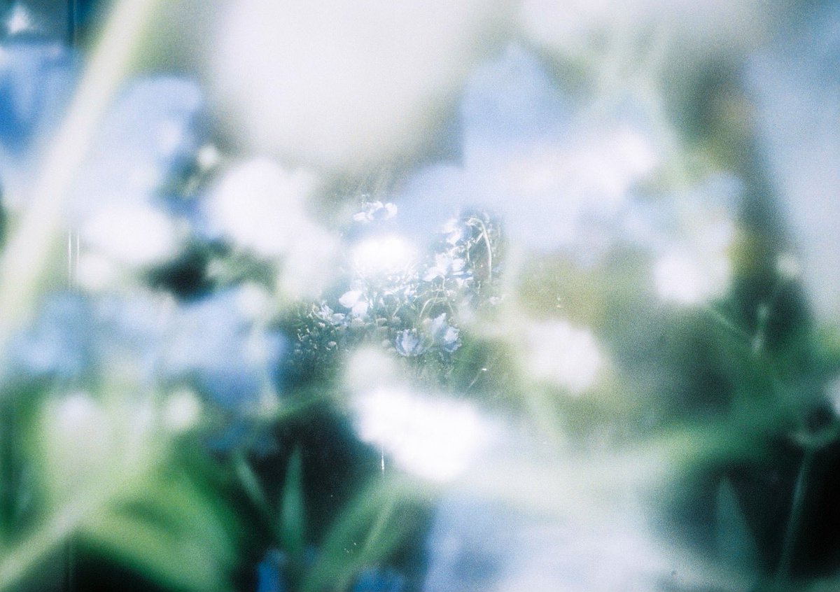 Naruhiro_2's tweet photo. やっと撮りたい様に撮れるようになってきた。
プライベートではこんなfilm写真撮ってます。
いつか個展をしたい。

#カメラの日 https://t.co/vWcZ2JXXWH