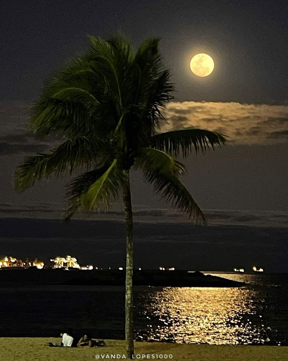 Última  noite do mês de Novembro...  
Boa noite !

"  Embora, eu não saiba o que vem pela frente, sigo confiante na certeza de que Deus nos guiará por caminhos de luz... "
Gratidao Novembro.
Vem Dezembro...cheio de luz ,de cores,e sabores ...
 É Tempo de celebrar a vida .
 E. F.