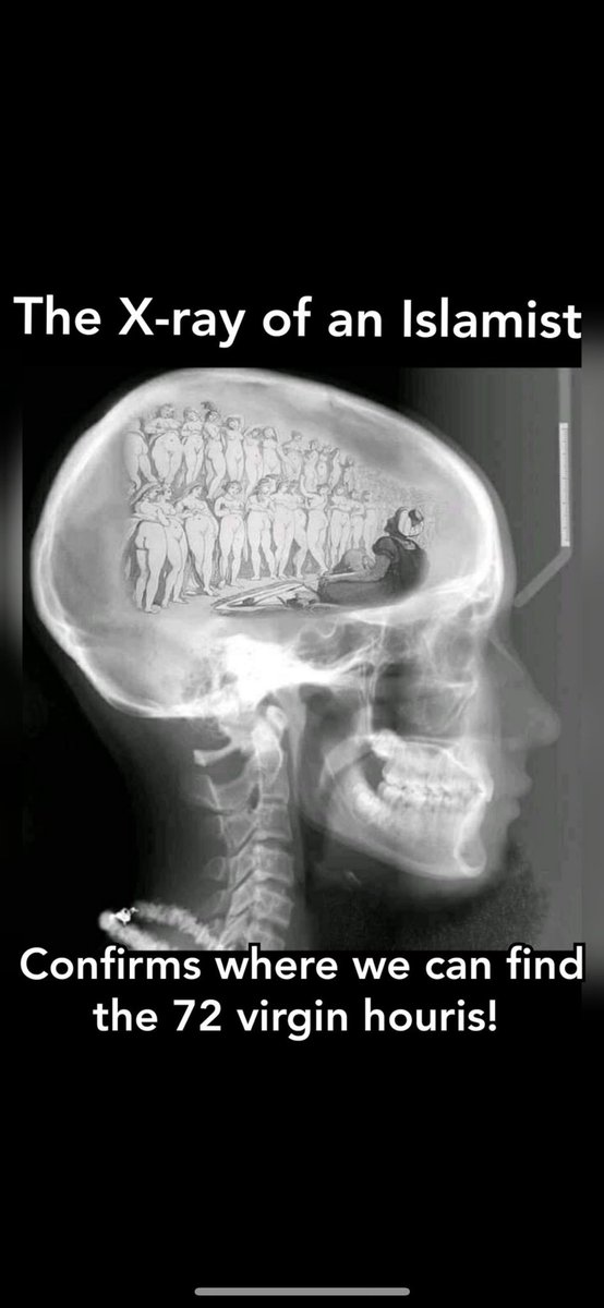 infidelusa5's tweet photo. These Flippin Muslims on here are trying to convince Christians that they are good!☠️ 
Hello…can you not see what is going on..everywhere that Muslims are there is problems. IslamIsThe Problem! Be aware😵‍💫😵‍💫
#IslamicBrainWashing101. #IslamicBullshitIsTheProblem #DeportMoslemsNOW https://t.co/JG51Q87W14