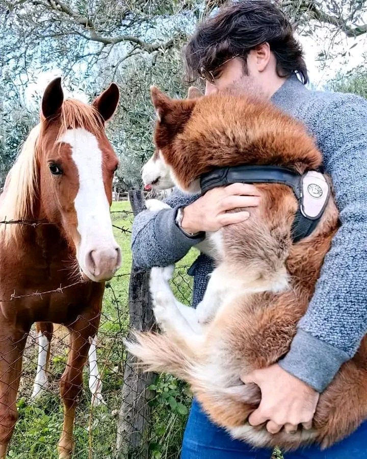 Julián Rossi (@julin70800327) on Twitter photo 