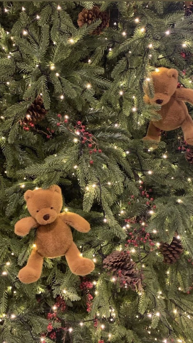 dazzlinghavens's tweet photo. Teddy bear decor 🧸 https://t.co/4jZKew40BF