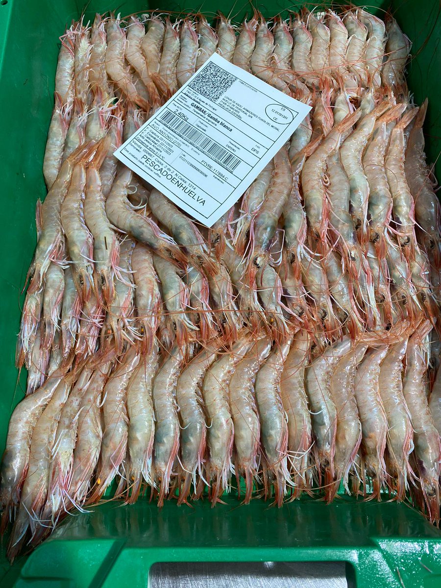 La Gamba Del Sur tweet media
