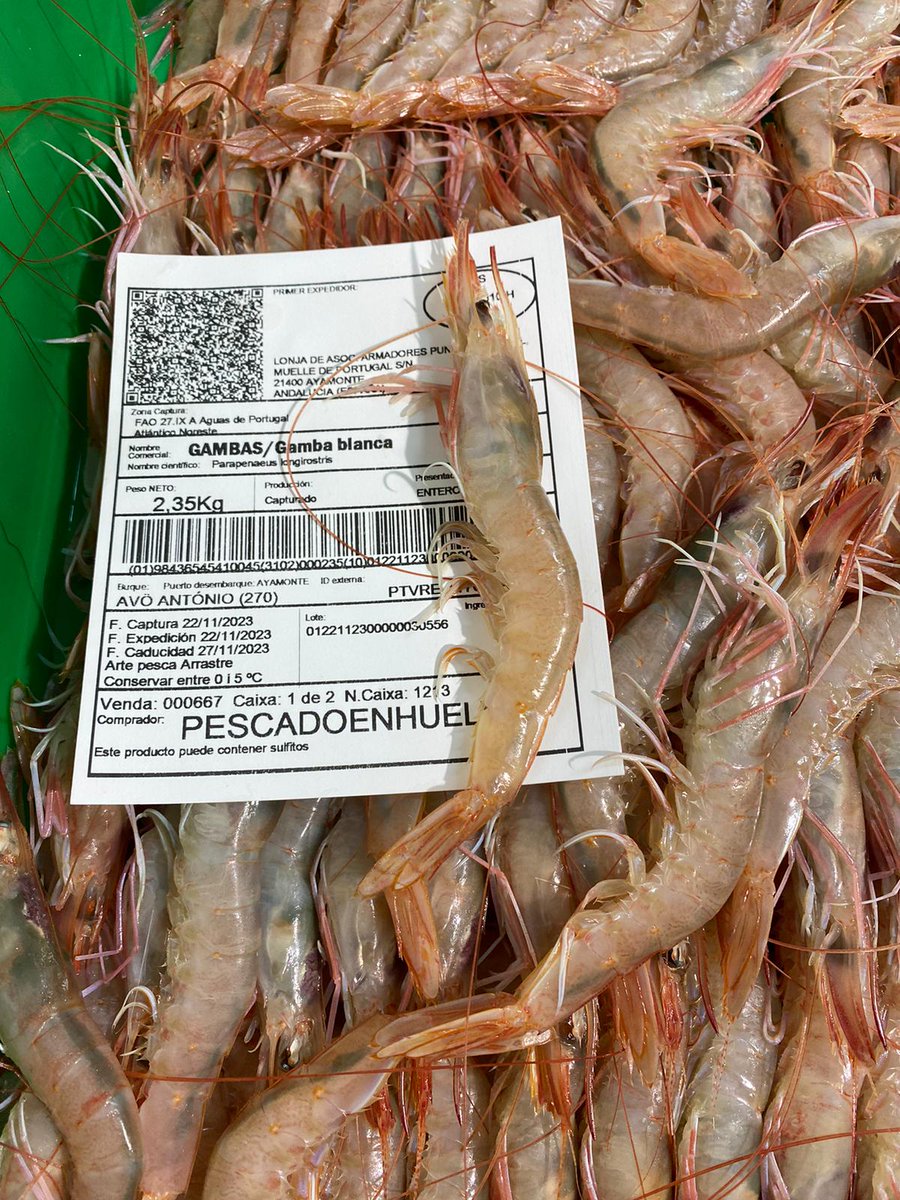 La Gamba Del Sur tweet media