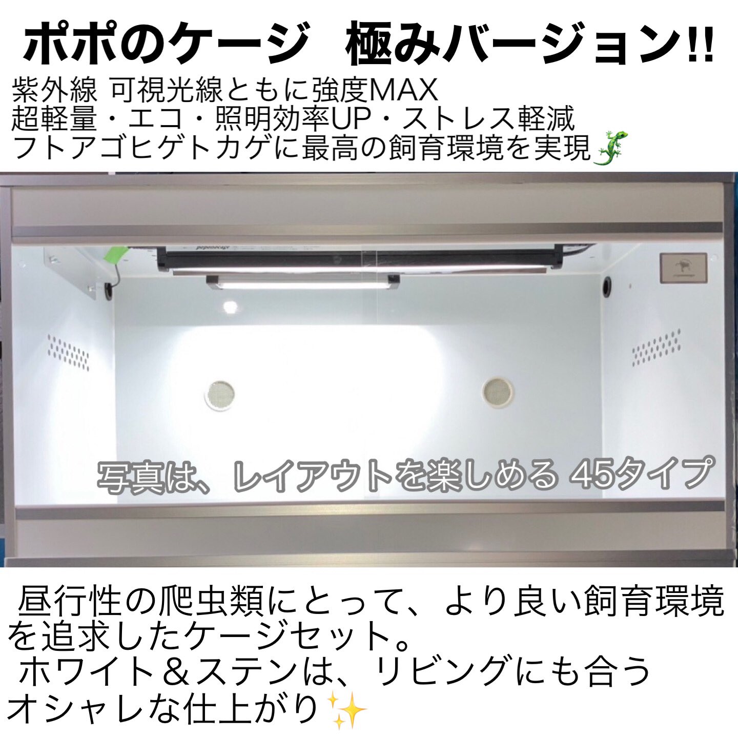 ポポのケージのライトセット 【公式通販】