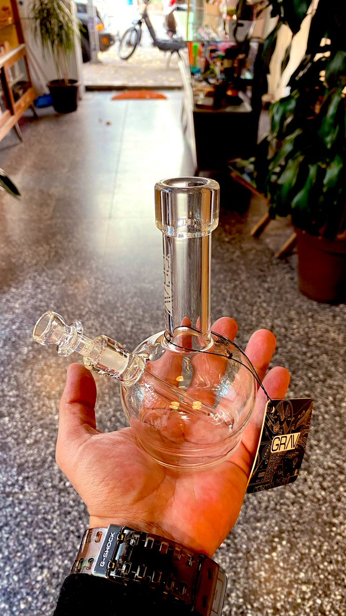 🌱 Rash🍃 tweet media