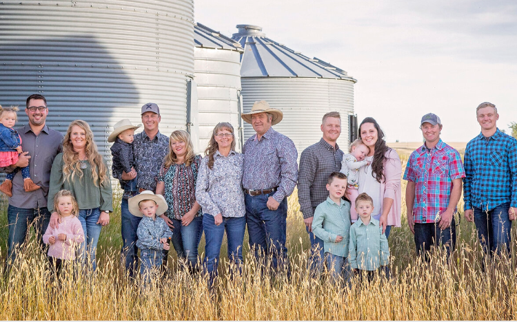 CLARA: Revolutionizing Livestock Market Insights tweet media