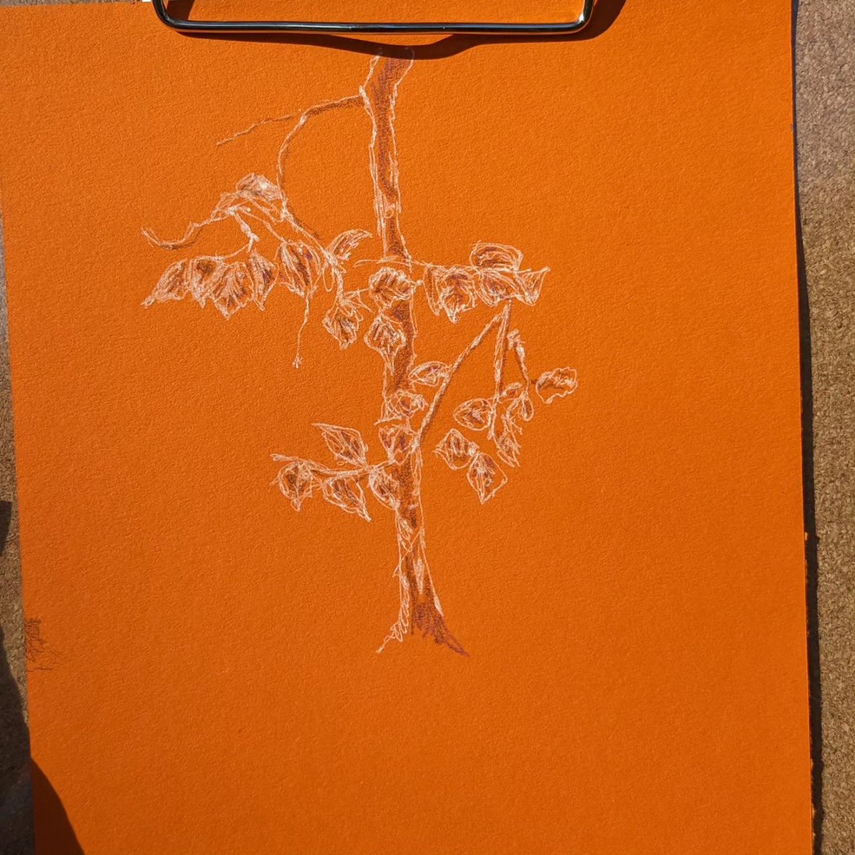 sarah goodey tweet media