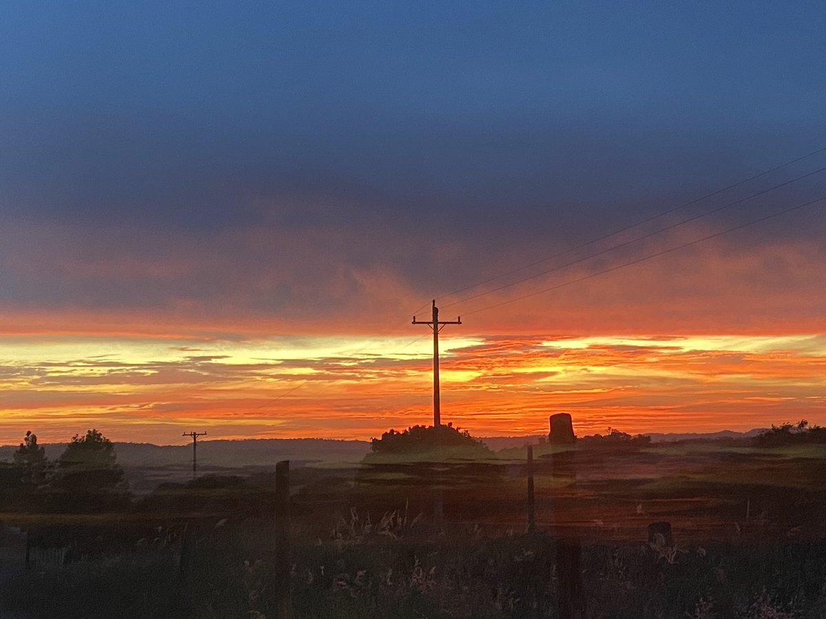 Alexandre Classmann (@aleclassmann) on Twitter photo 