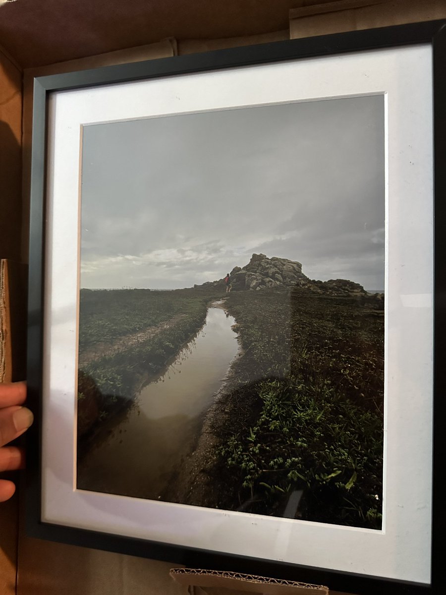 Jose Castaneda tweet media