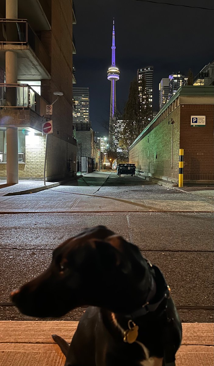 ✨ Vernie Leigh (she/her) tweet media