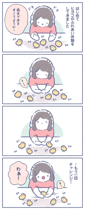 ふわピヨ体験🐥