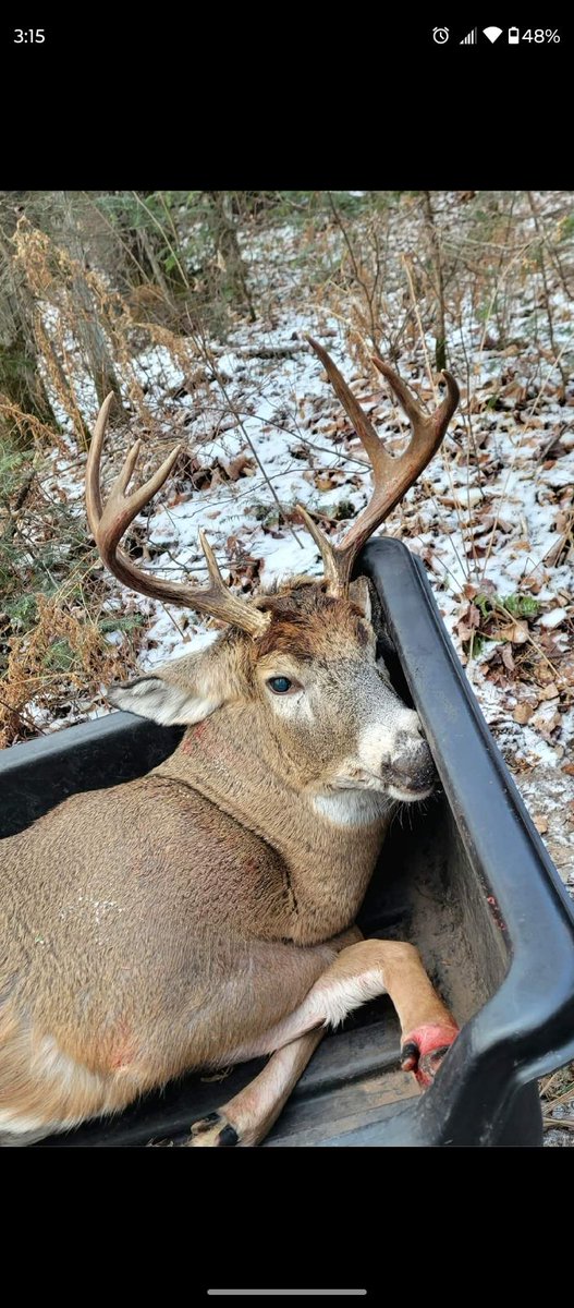 Brazzy70's tweet photo. Guess I don't need to hunt this buck no more #neighborssuck https://t.co/RSG1bHoBXn