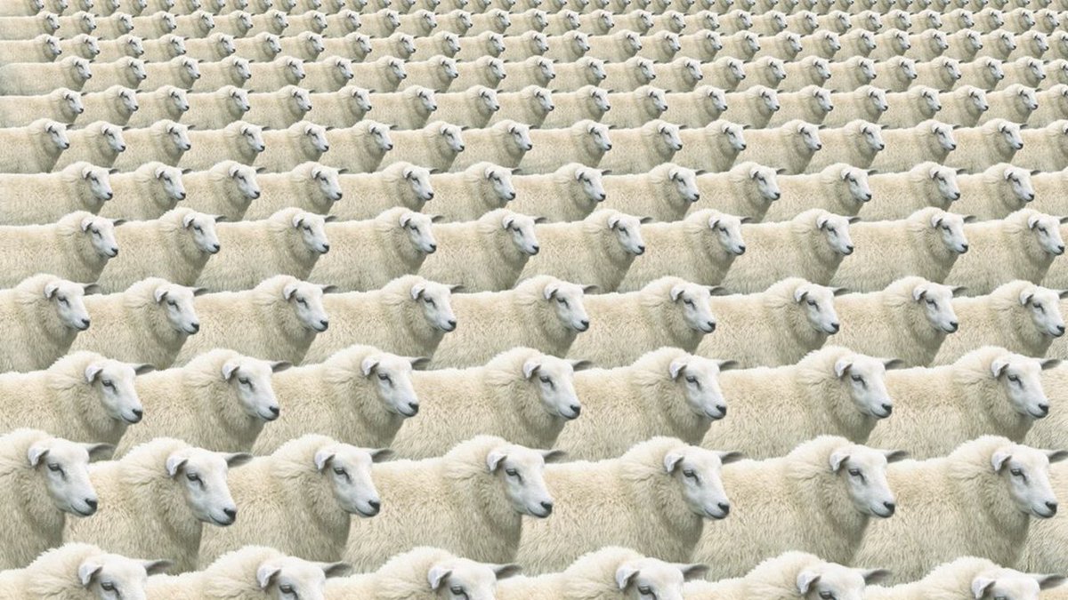 Enoa RH-CONSULTING (@enoarh) on Twitter photo Quand les recruteurs recherchent la diversité et l'authenticité plutôt que des clones professionnels.
Une perspective rafraîchissante sur les critères de recrutement 👉 zurl.co/3gN0
<a href="/Les/">Les Pozdena</a> Echos START
#recrutement #emploi #hardskills #softskills Quand les recruteurs recherchent la diversité et l'authenticité plutôt que des clones professionnels.
Une perspective rafraîchissante sur les critères de recrutement 👉 zurl.co/3gN0
<a href="/Les/">Les Pozdena</a> Echos START
#recrutement #emploi #hardskills #softskills