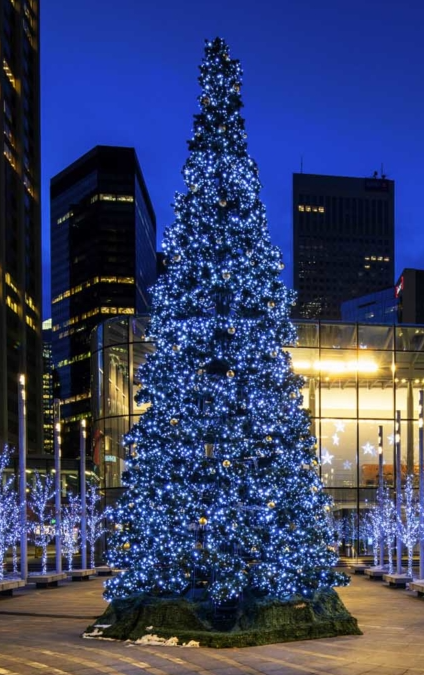 FDSceneChanges's tweet photo. Happy Holidays from the team at F&amp;D. Why not start the holidays off with a stroll downtown to see the Brookfield tree that was set up by our crew?

 #fdscenechanges #yyc #ChristmasTrees #ChristmasDecor 

Photo credit to @cmcalgary https://t.co/ohkjsrAb97