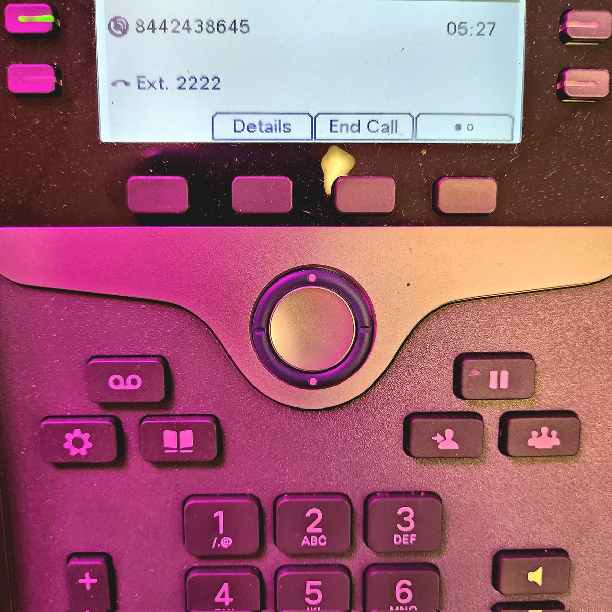 Cortney Bean tweet media