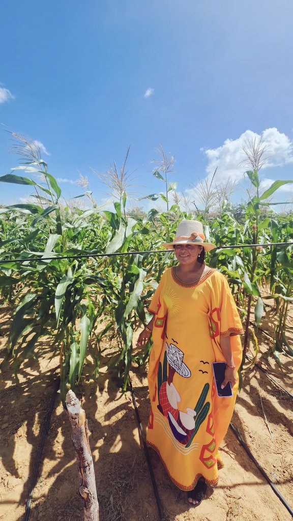 jmojicaflorez's tweet image. La comida más rica que he probado me la prepararon hoy en la Comunidad Koushalai en #Maicao. Frijolitos guajiros, berenjenas rellenas con carne y queso de 🐐,  masita de yuca con vegetales, chicha de maíz 🌽 y berenjena y dulce también de 🍆. Resultados de la acción urgente